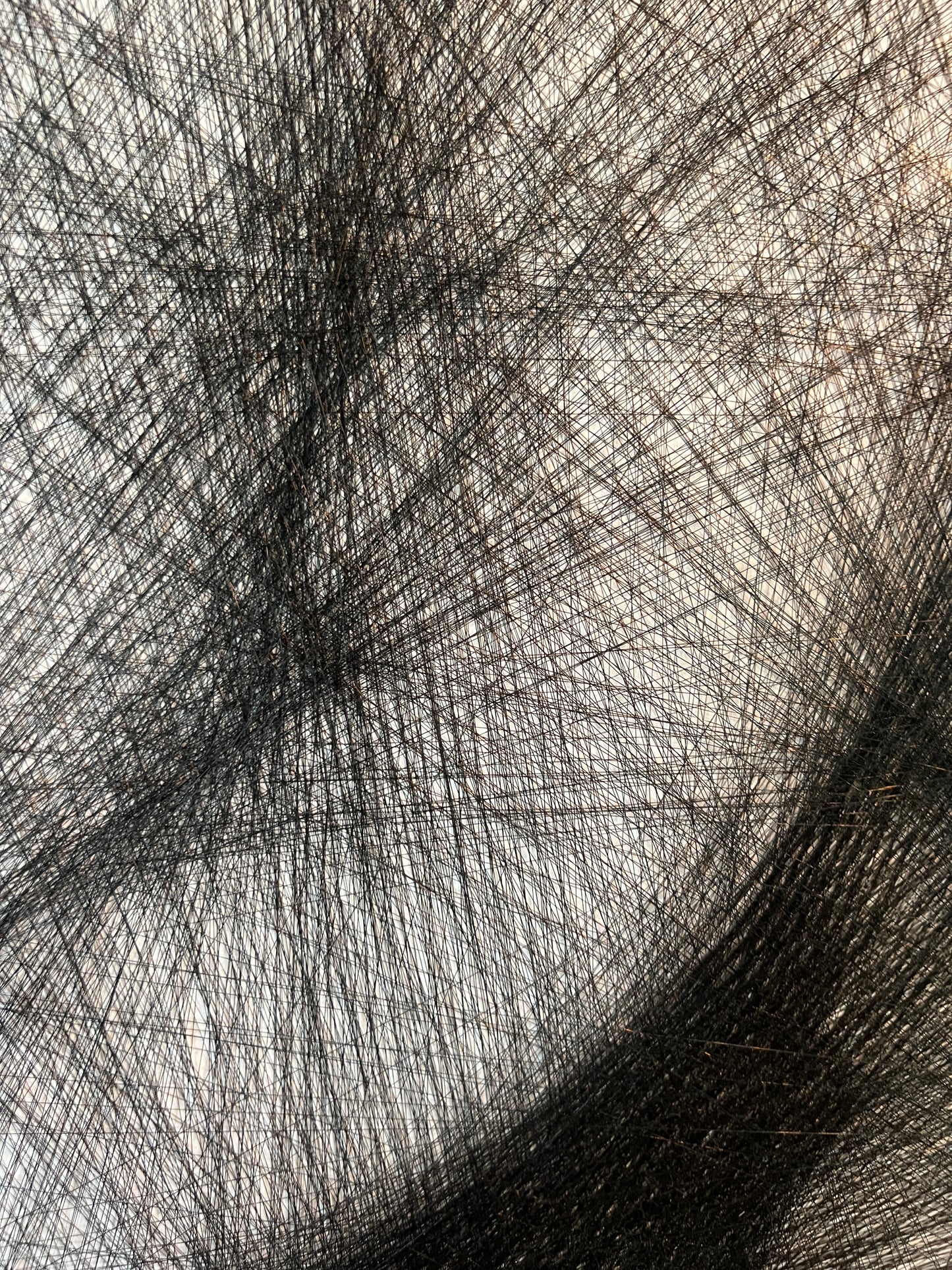 The Guy Next Door - String Art