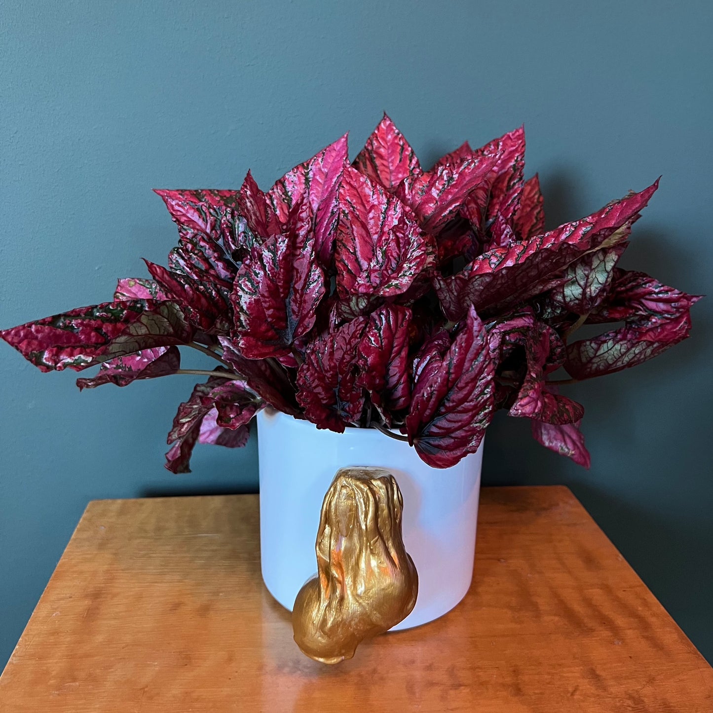 CockPots - Gold Balls