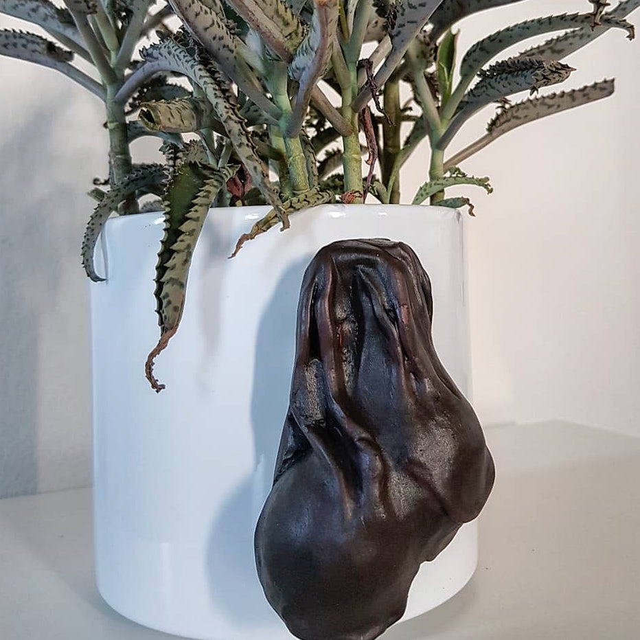 CockPots - Black Balls