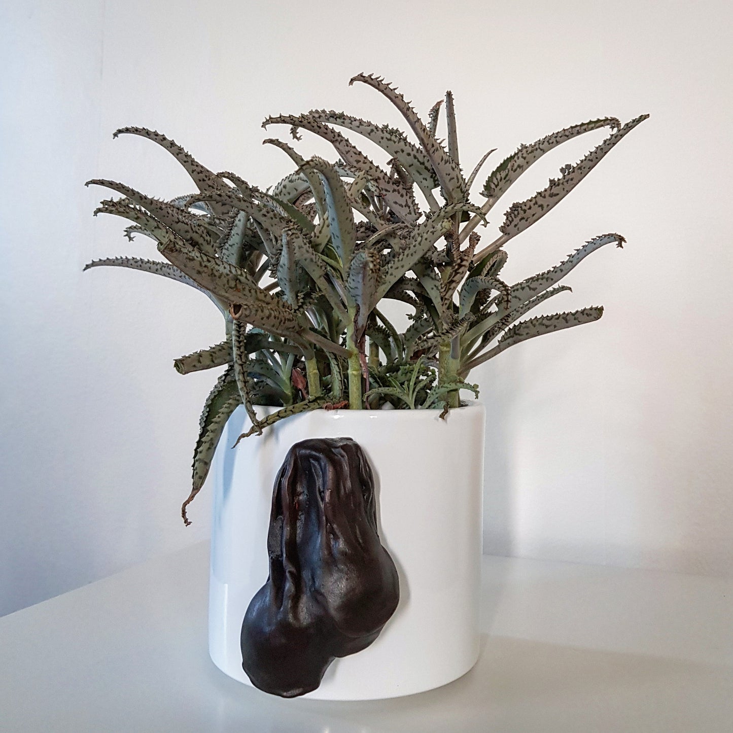 CockPots - Black Balls