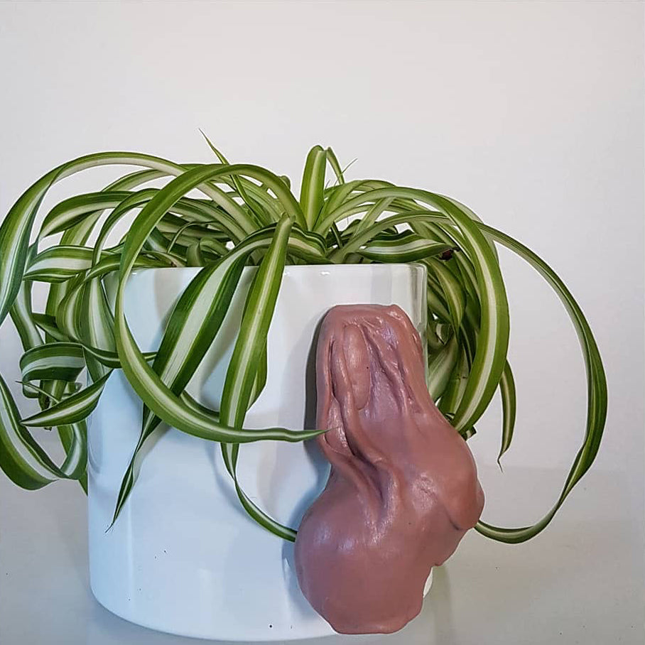 CockPots - Pink Balls