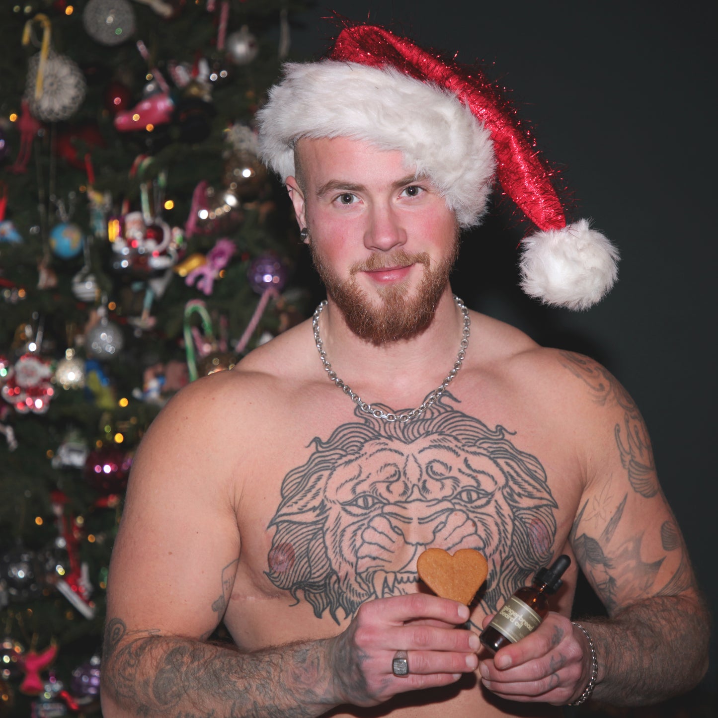 Wicked Fox - Gingerbread Beard Oil